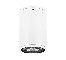 Уличный потолочный светильник Arlight LGD-Forma-Surface-R90-12W Day4000 037259