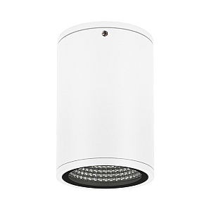 Уличный потолочный светильник Arlight LGD-Forma-Surface-R90-12W Day4000 037259