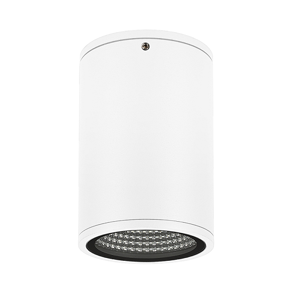 Уличный потолочный светильник Arlight LGD-Forma-Surface-R90-12W Day4000 037259