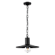 Уличный подвесной светильник Odeon Light Nature Furcadia 4833/1