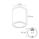 Уличный потолочный светильник Arte Lamp Torcular A1313PF-1BK