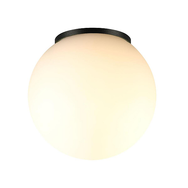 Потолочный светильник Odeon Light NATURE 7124/1C