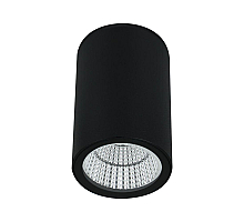 Уличный потолочный светильник Arte Lamp Torcular A1807PF-1BK