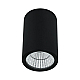 Уличный светодиодный светильник Arte Lamp Torcular A1807PF-1BK