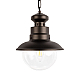Уличный подвесной светильник Loft IT Piemonte 100022P