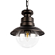Уличный подвесной светильник Loft IT Piemonte 100022P