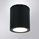 Уличный потолочный светильник Arte Lamp Torcular A1313PF-1BK