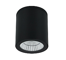 Уличный потолочный светильник Arte Lamp Torcular A1813PF-1BK