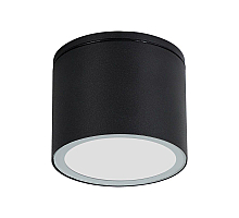Уличный потолочный светильник Arte Lamp Piautos A1913PF-1BK