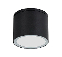 Уличный потолочный светильник Arte Lamp Piautos A1913PF-1BK