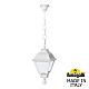 Уличный подвесной светильник Fumagalli SICHEM/CEFA U23.120.000.WYE27