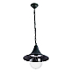 Уличный подвесной светильник Arte Lamp Malaga A1085SO-1BG