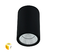 Уличный потолочный светильник Arte Lamp Torcular A1307PF-1BK