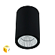 Уличный потолочный светильник Arte Lamp Torcular A1307PF-1BK