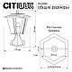 Уличный светильник Citilux Forts CLU10C