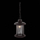 Уличный подвесной светильник ST Luce Lastero SL080.403.01