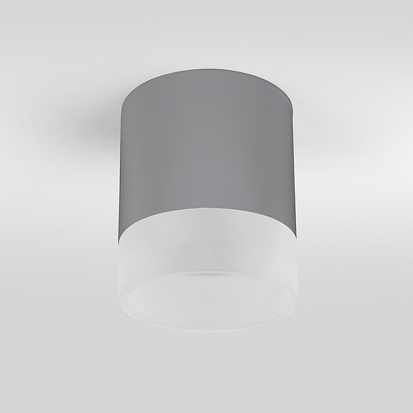 Уличный потолочный светильник Elektrostandard Light LED 4690389177965