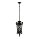 Уличный подвесной светильник Loft IT Tremezzo 100019P BS
