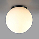 Потолочный светильник Odeon Light NATURE 7124/1C