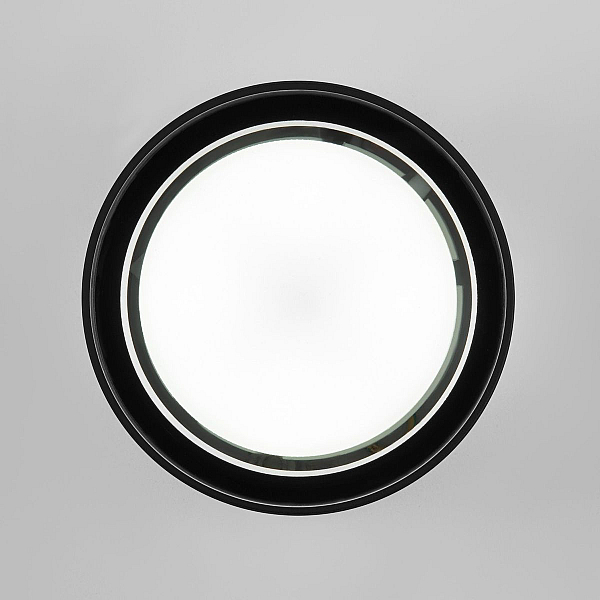 Уличный потолочный светильник Elektrostandard Light 4690389180835