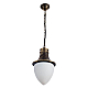 Уличный подвесной светильник Arte Lamp Vienna A1317SO-1BN