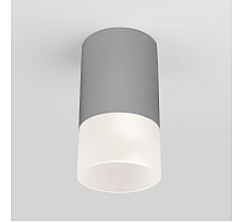 Уличный потолочный светильник Elektrostandard Light LED 4690389177934
