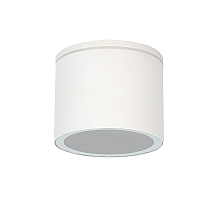 Уличный потолочный светильник Arte Lamp Piautos A1913PF-1WH