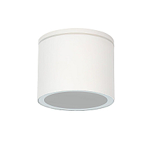 Уличный потолочный светильник Arte Lamp Piautos A1913PF-1WH