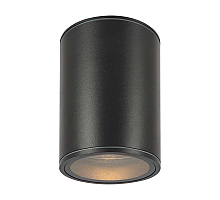 Уличный потолочный светильник Maytoni Bar O306CL-L7GF