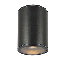 Уличный потолочный светильник Maytoni Bar O306CL-L7GF