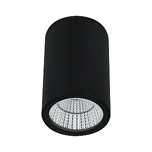 Уличный потолочный светильник Arte Lamp Torcular A1807PF-1BK
