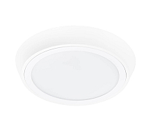 Уличный светильник Lightstar 216904