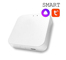 Конвертер WI-FI для трековой системы EKS Colibri Smart 0У-00002005