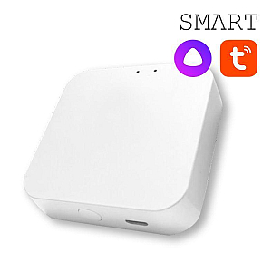 Конвертер WI-FI для трековой системы EKS Colibri Smart 0У-00002005