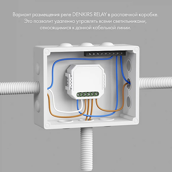 Wi-Fi реле-выключатель одноканальное Denkirs 1x2300Вт/250Вт для LED RL1001-SM/1