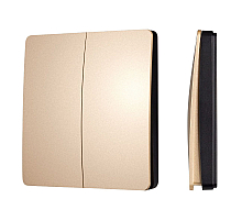 Кнопочная панель Arlight KINETIC-801-22-2G-WP-SUF Gold (No battery, IP67, 433Mhz) 043313