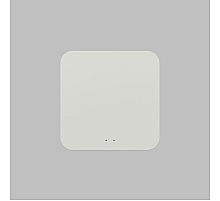 Конвертер WiFi-Zigbee/BLE для умного дома Denkirs Zigbee Control DK7402-WF