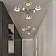 Потолочная люстра Arte Milano Ferrara 273210/6 BK/GD
