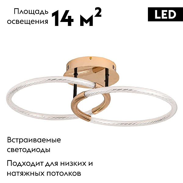 Потолочная светодиодная люстра Lumion Ledio Lara 6545/61CL