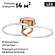 Потолочная светодиодная люстра Lumion Ledio Lara 6545/61CL