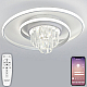 Потолочная люстра Natali Kovaltseva Crystal LED LAMPS 81115/1C