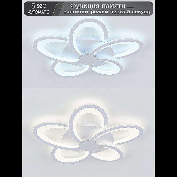 Потолочная люстра Natali Kovaltseva Holder LED LAMPS 81173