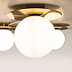 Потолочная люстра Maytoni Star sky MOD291CL-04BS