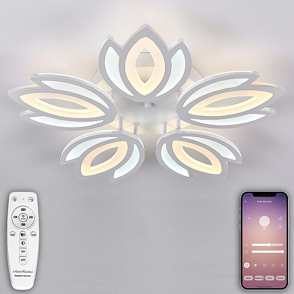 Потолочная светодиодная люстра Natali Kovaltseva Led Lamps 81124