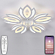 Потолочная светодиодная люстра Natali Kovaltseva Led Lamps 81124