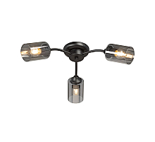 Потолочная люстра Vitaluce V2558-1/3PL