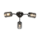 Потолочная люстра Vitaluce V2558-1/3PL