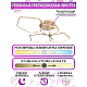 Потолочная светодиодная люстра Natali Kovaltseva High-Tech Led Lamps 82037