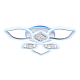 Потолочная светодиодная люстра Ambrella light Ice FA282