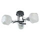 Потолочная люстра Toplight Lia TL7380X-03BC